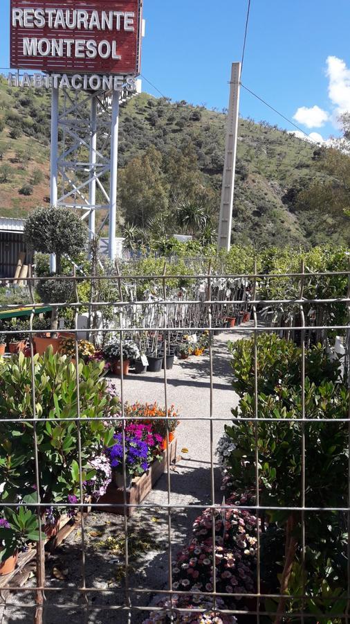 Nuevo Montesol Casa de hóspedes